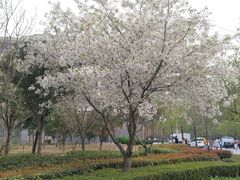 -河南财经政法大学(郑东校区)