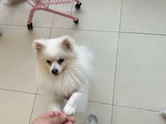 -怪兽屋·羊驼·猫咖·狗咖(俊华广场店)