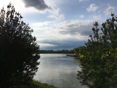 -东郊湿地公园