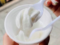 -洪馨椰子
