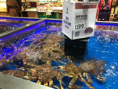 -盒马鲜生(龙德广场店)