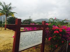 -亚龙湾国际玫瑰谷