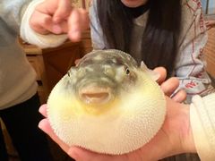 -永安鱼庄·镇江菜(丁卯店)