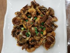 红烧花螺-洲晓鲜·舟山海鲜大排档(朱家尖风景区店)