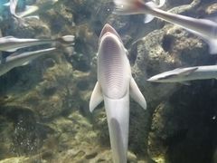 -临沂极地海洋王国