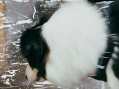 -边渡咖啡烘焙店(昙华林店)