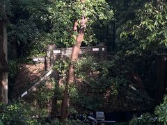 -灵隐飞来峰景区