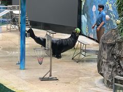 -宁波野生动物园