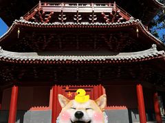 -北京世界公园
