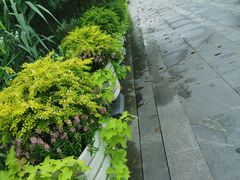 -上海山野camping·户外天幕烧烤·团建拓展营地