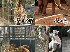 -杭州动物园