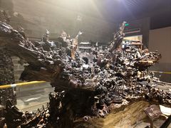 -乐山乌木文化博览苑