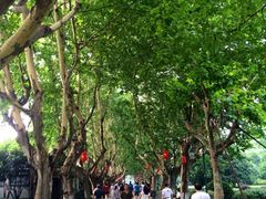 iphone_upload_pic-杭州黄龙洞
