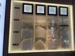 -太湖雪蚕桑文化园