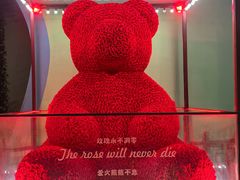-泉城欧乐堡梦幻世界