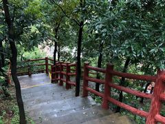 -羚羊峡古栈道森林公园