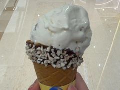 -哈根达斯(龙湖时代天街店)