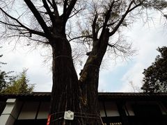 -望江楼公园