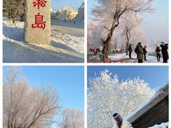 -雾凇岛