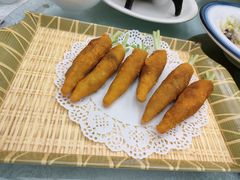 -丁老爷子苏香圆