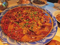 -新概念来凤鱼(璧山店)