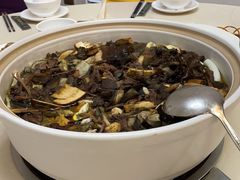 -爱膳菌锅锅(阳南店)