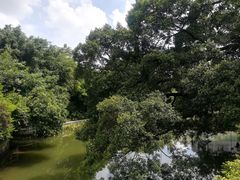 -小洲村