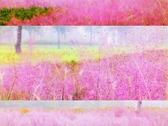 -沉浸北京·团建旅行·密室剧本杀·年会会议轰趴拓展