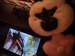 -交通银行前滩31演艺中心