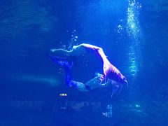 -福州罗源湾海洋世界旅游区