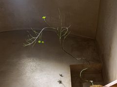 -陶享时光西餐·下午茶(信河街店)