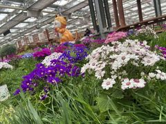 -南和农业嘉年华