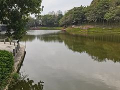 -深圳国际园林花卉博览园