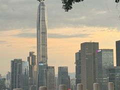 -莲花山公园