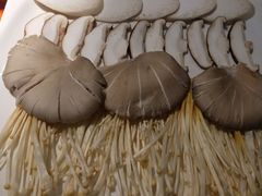 -晓宇重庆火锅(龙首店)