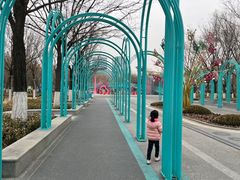 -张店儿童公园