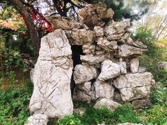 -高尔山公园