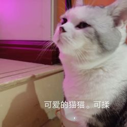 店内环境-众刺纹画·纹身·穿孔饰品·海娜定制