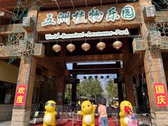 -南宫五洲植物乐园