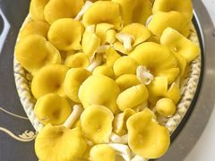 -朴小妹人参鸡汤火锅(长白山万达店)