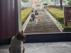 -句容茅山景区