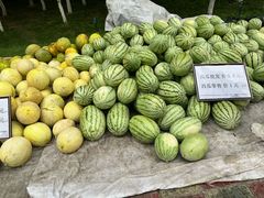 -哈密回王府景区