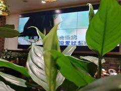 餐厅内显示屏-庆合府重庆大排档(紫都城店)