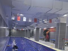 -小蓝鲸游泳培训基地(积水潭店)