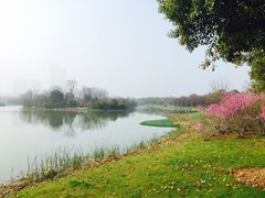 -艾溪湖湿地公园