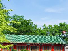 -中国紫檀博物馆