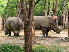 -北京野生动物园
