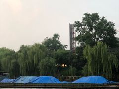 -运河游船(武林门码头)