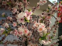 -若石足道SPA 连锁(丹东街店)