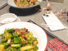 -鼎原力量东北吊炉烧烤(临河街店)